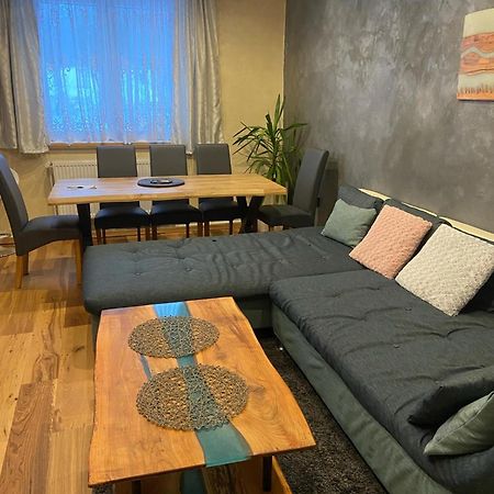 Apartman Orlicke Hory Orlicke Zahori Bagian luar foto