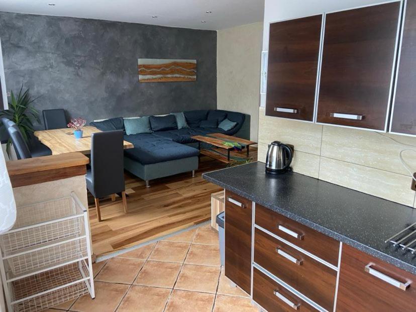 Apartman Orlicke Hory Orlicke Zahori Bagian luar foto