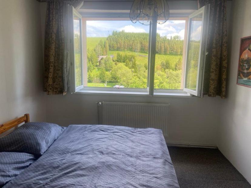 Apartman Orlicke Hory Orlicke Zahori Bagian luar foto