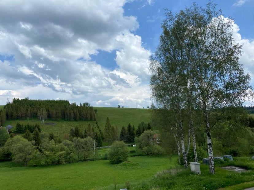 Apartman Orlicke Hory Orlicke Zahori Bagian luar foto