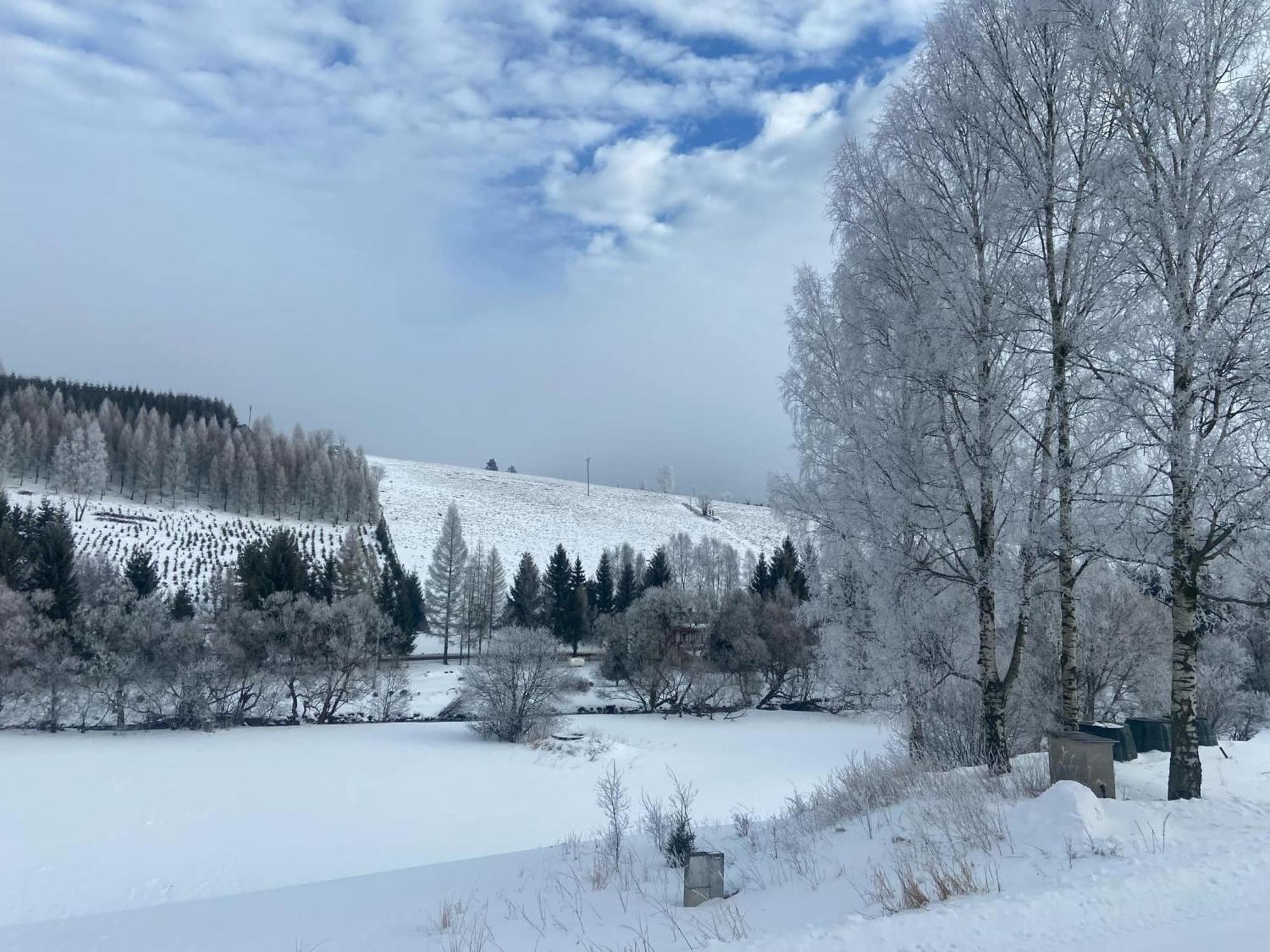 Apartman Orlicke Hory Orlicke Zahori Bagian luar foto