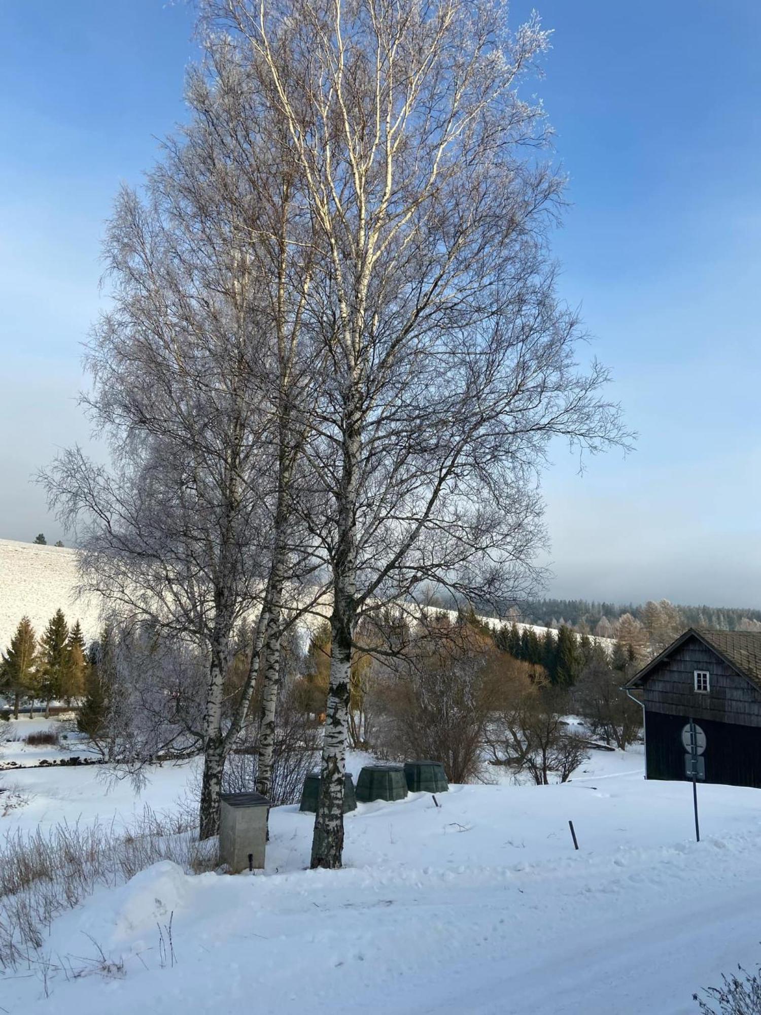 Apartman Orlicke Hory Orlicke Zahori Bagian luar foto